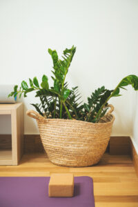 Blue Key Villa (342)